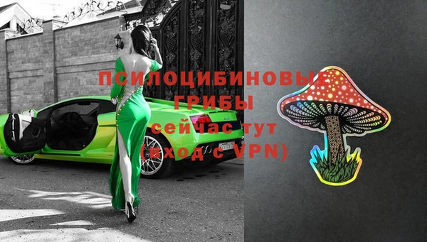 spice Абаза