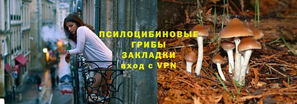 spice Абаза