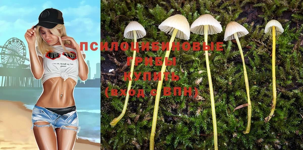 spice Абаза